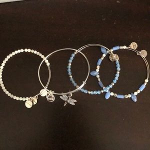 Authentic Alex and Ani Dragonfly Set